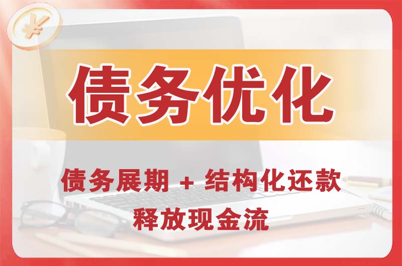海南区债务优化