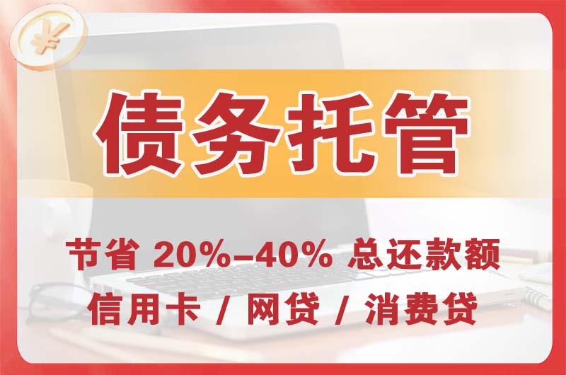 海南区债务托管