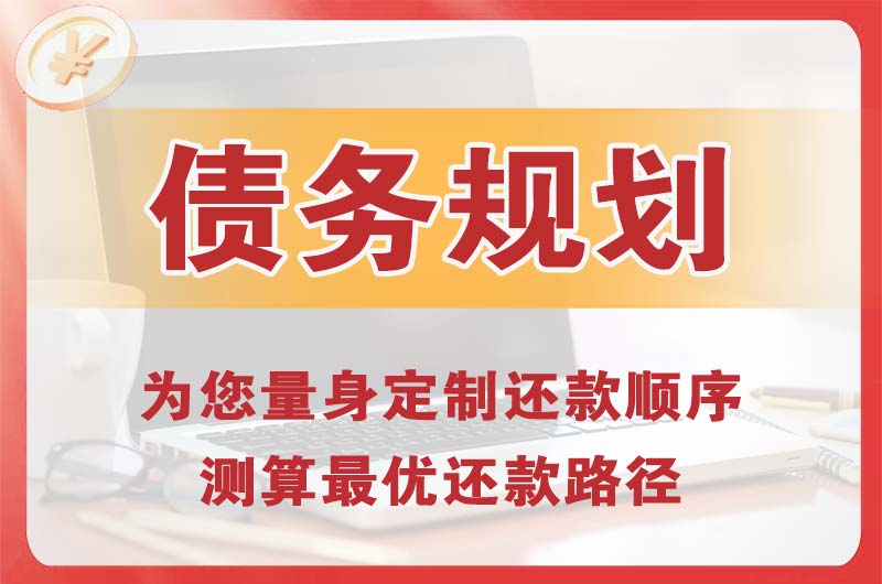 海南区债务规划